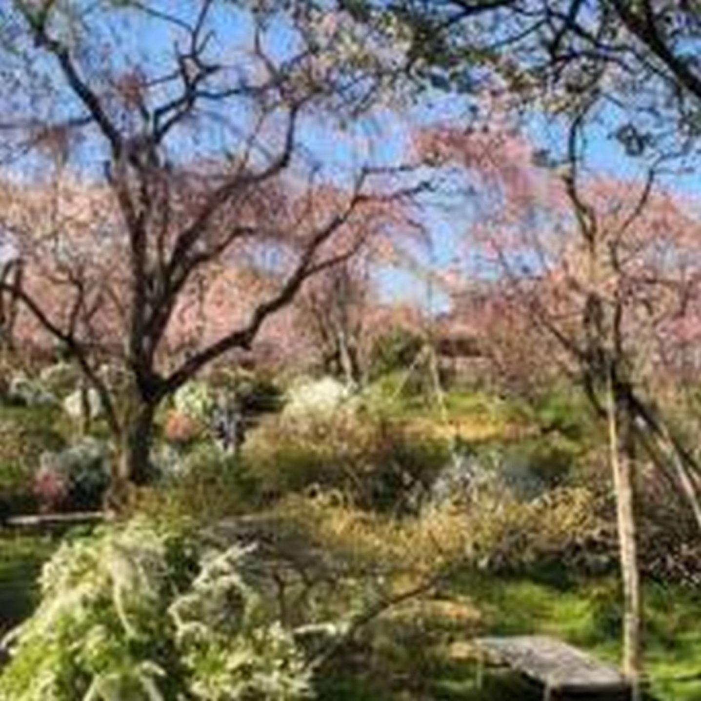 むつみ庵此花601 Διαμέρισμα Οσάκα Εξωτερικό φωτογραφία