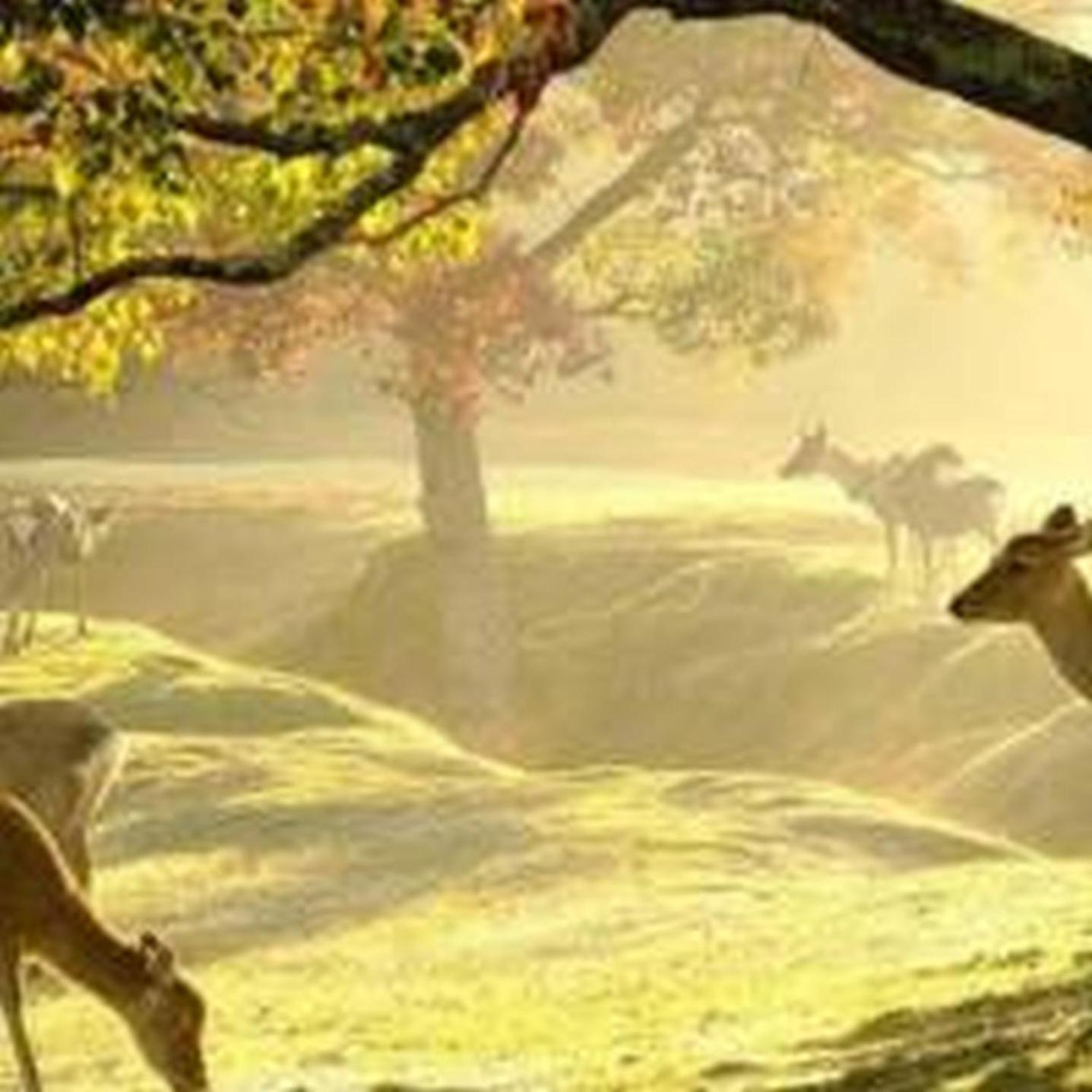 むつみ庵此花601 Διαμέρισμα Οσάκα Εξωτερικό φωτογραφία